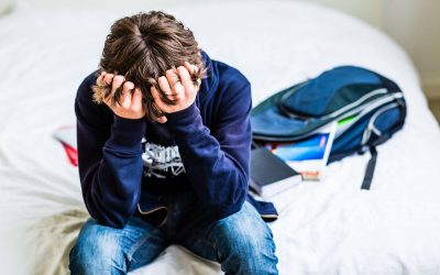 La prueba PISA confirmó que los estudiantes que sufren bullying aprenden menos